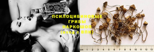 эйфоретик Абаза