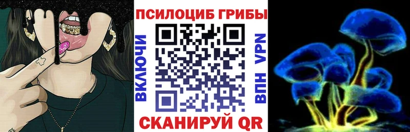 где купить наркоту  Иноземцево  Галлюциногенные грибы MAGIC MUSHROOMS 