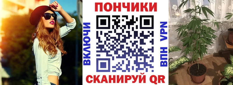 Бошки Шишки гибрид  kraken   Иноземцево  продажа наркотиков 